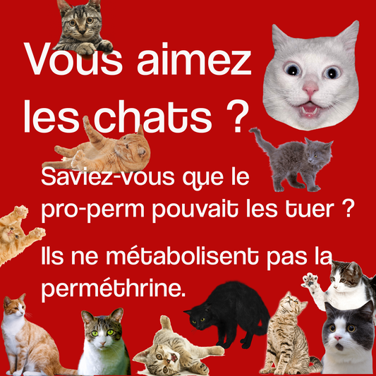 Le PROPERM et les chats