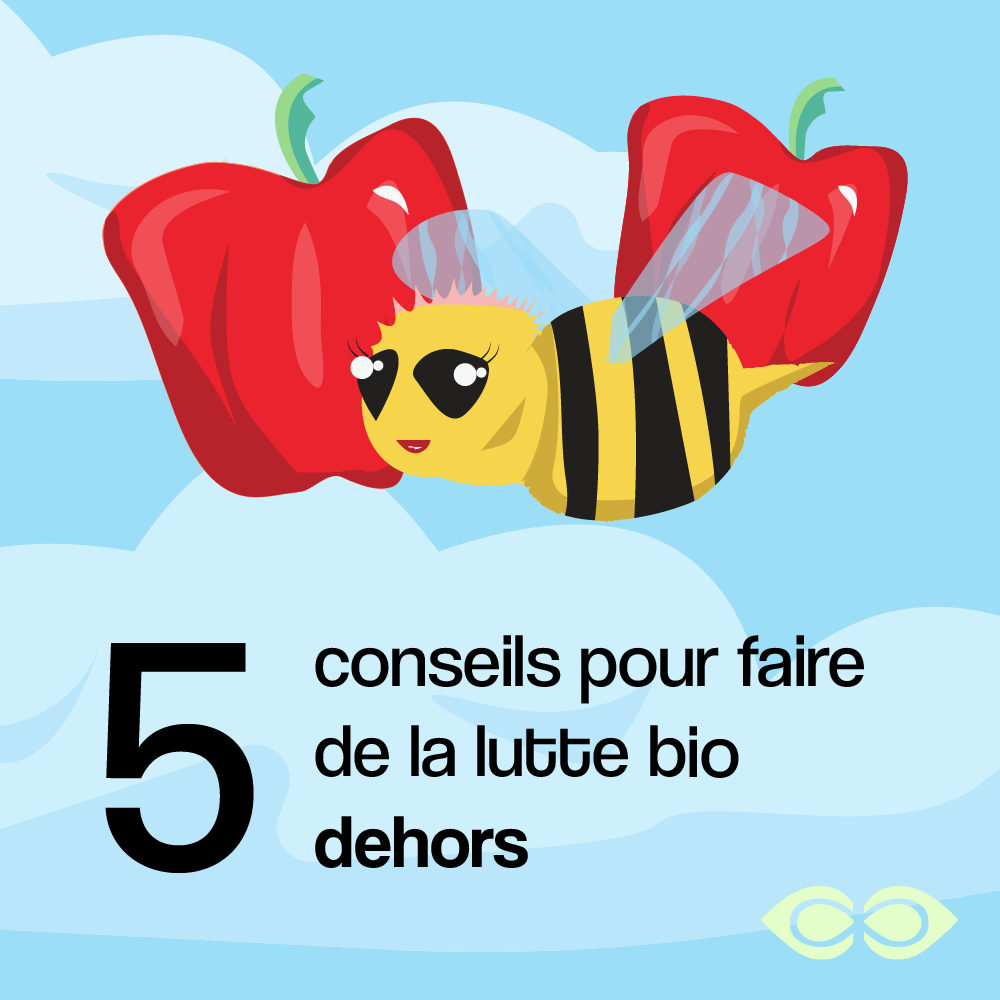 5 conseils pour faire de la lutte biologique au jardin