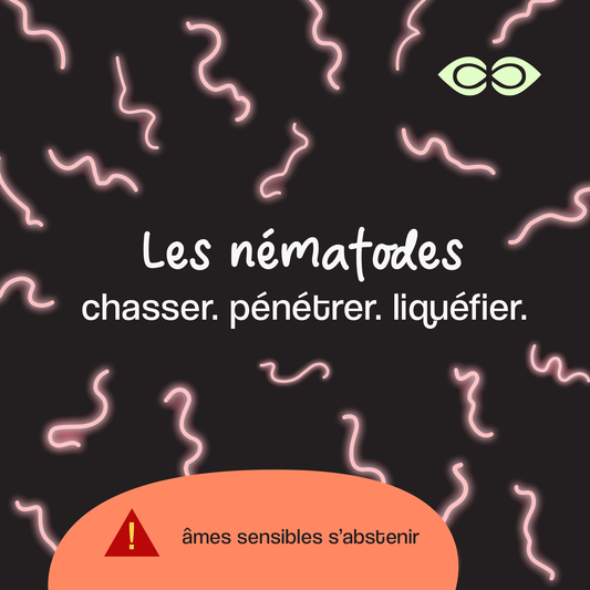 Les nématodes, petits mais puissants !