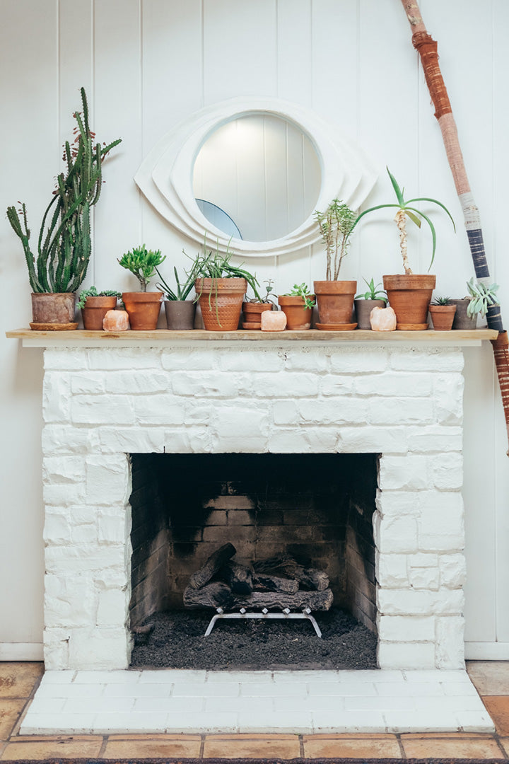 foyer blanc éteint avec un assortiment de plantes succulentes sur le dessus