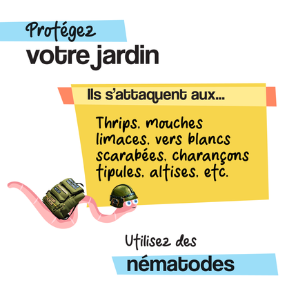 Nématodes pour le jardin (Réservez-les !)