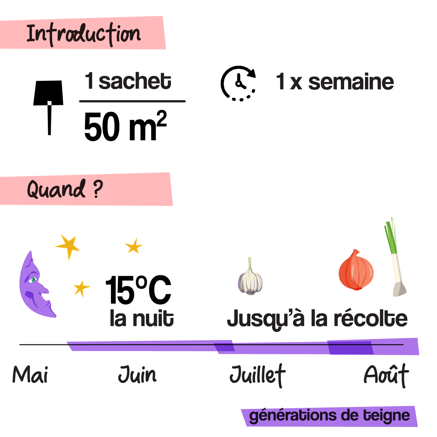 Trichogrammes 4x (Ail,  poireau, oignon)